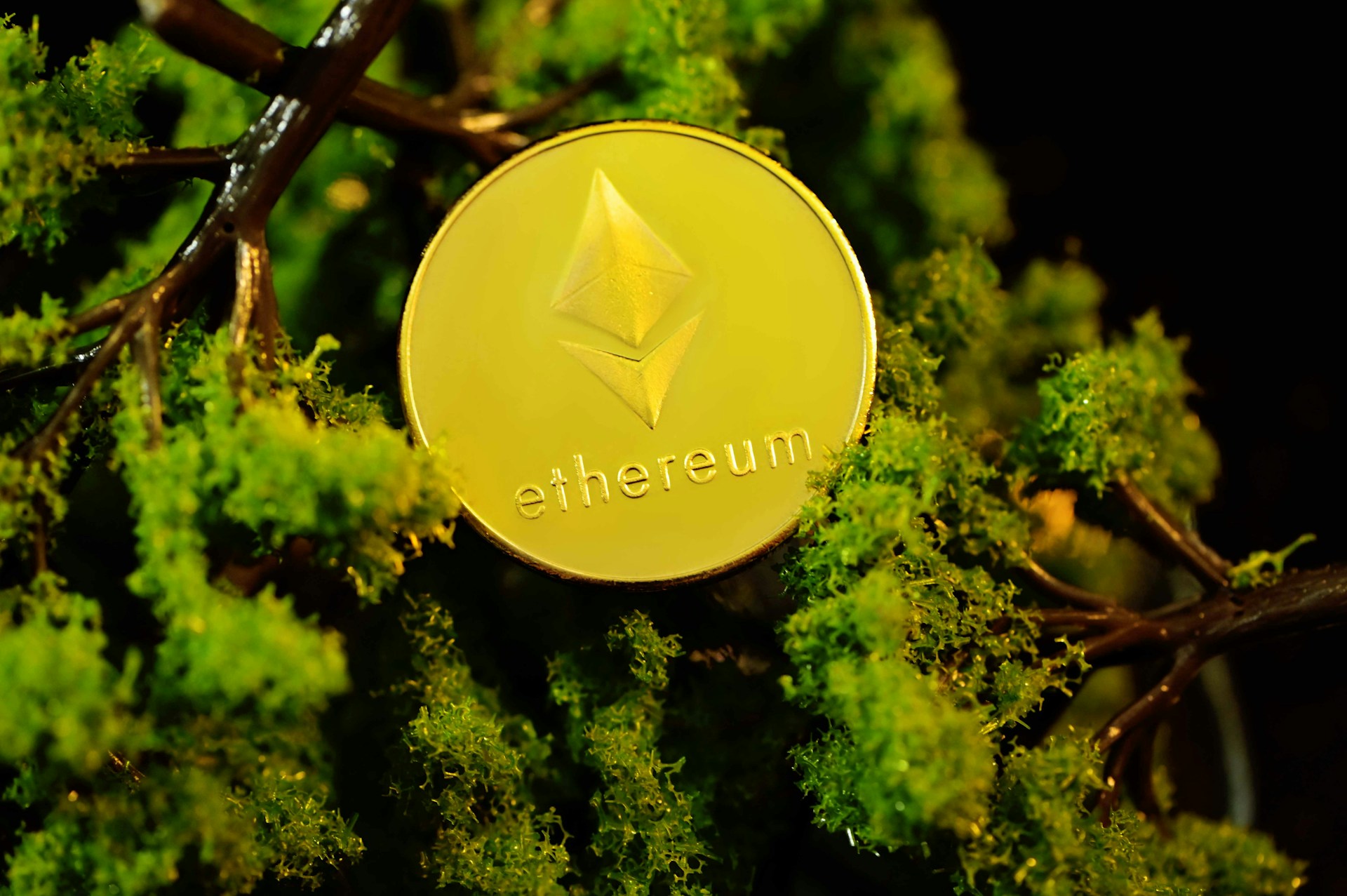 Should You Care About the ETH Price USD Today? Here’s Why It Matters